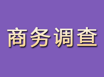 平房商务调查